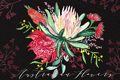Australian flowers watercolor Product Image 5
