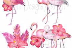 Pink flamingo clipart Product Image 5