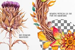 Fall collection. Watercolor. Product Image 2