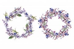 Beautiful watercolor Lavender Product Image 3