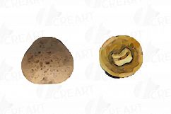 Nuts clip art pack, Watercolor nuts chart, food print Product Image 15