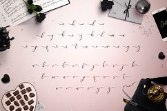 Dolly Script Product Image 4