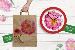Paradise pink peonies PNG watercolor set Product Image 4