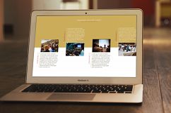 Premium Management Profile Product Image 2