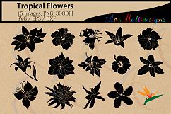 Tropical flowers silhouette svg / HQ / flowers silhouette / vector tropical flowers / all kind of flowers / SVG / PNG / Eps /Dxf / instant Product Image 1