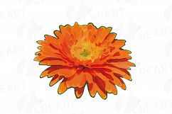Watercolor Gerbera Daisy clip art pack, colorful gerberas 2 Product Image 5