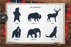 ZOONIMALS. Hand Drawn Animals Product Image 3