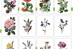 Entire Vintage Collection -Over 1000 Illustrations Product Image 13
