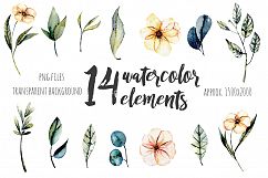 Arizona. Flower watercolor clip art. Product Image 2
