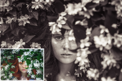 PRO Lightroom Presets Bundle Product Image 16