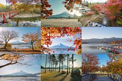 70+ Hi Res Japan Autumn Photos Pack Product Image 5