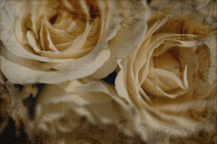 Damask Textures - Grunge Ornate Transparent Overlay Textures Product Image 3