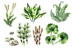 Prehistoric world. Watercolor bundle Product Image 4