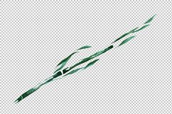 Exotic bamboo PNG watercolor set Product Image 8