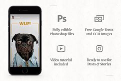 50 Instagram Dropshipping Graphics Product Image 2