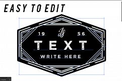 100 VINTAGE LOGO TEMPLATES Product Image 11