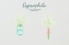 Hand painted watercolor clipart white baby&#039;s breath, gypsophila Product Image 4