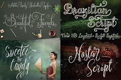 MEGA SALES 62 FONTS BUNDLE Product Image 2