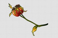 Vector autumn yellow rose hip plant PNG set Product Image 4