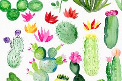 Cactus watercolr clipart collection Product Image 9