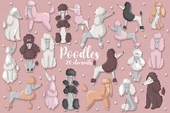 Poodles Product Image 1