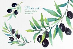 Olive set. Watercolor collection. Product Image 2