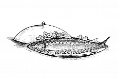 fish serving hand drawing vector Product Image 1