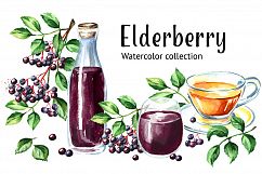 Elderberry. Watercolor collection Product Image 1
