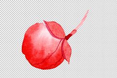 Begonia flower plant PNG watercolor set Product Image 7