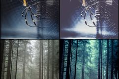 620 Halloween Time Lightroom Presets Product Image 8