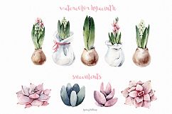 Spring watercolor compositions with Giacint illustration Product Image 4