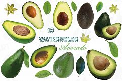 Watercolor Avocado clip art pack,avocado leaves and flowers Product Image 1