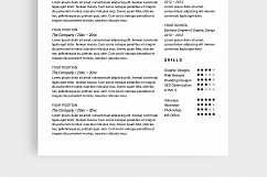Alexandria Resume / CV Product Image 2