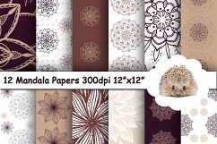 204 Textured Papers / Backgrounds / Patterns Product Image 5