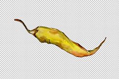 Green and yellow pepper vegetables PNG watercolor set Product Image 8