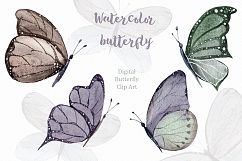 Spring watercolor butterfly Watercolor clipart illustration Product Image 2