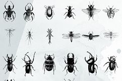 Premium Insects Illustrations Product Image 3