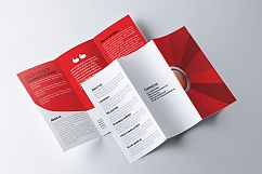 Business Tri Fold Brochure Product Image 3