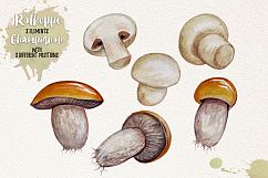 Watercolor Vegetables, Herbs Product Image 9