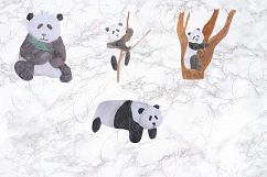 Hand Drawn Watercolor Panda Clipart Product Image 3