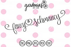 Fancy Schmancy Product Image 1