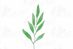 Green leaves and branches watercolor clip art pack, hand painted leafs collection. PNG, jpg, svg, vector illustrator &amp; corel files included Product Image 9