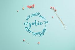 Allure Feminine logo pack Product Image 9
