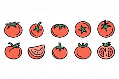 Tomato icons set vector flat Product Image 1