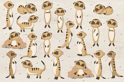 Meerkats Product Image 2