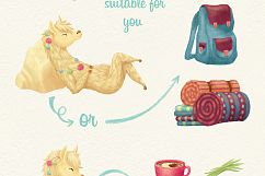 Llama Lifestyle Collection Product Image 2
