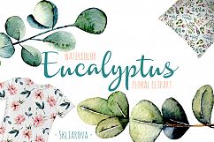 Eucalyptus watercolor clipart Product Image 1