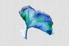 Aquarelle lotus flowers PNG set Product Image 3