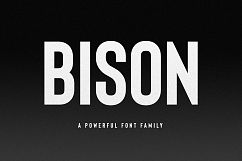 Bison - A powerful font Product Image 1