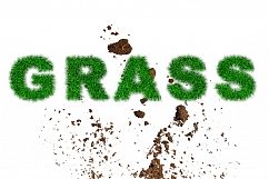 Grass Effect Photoshop Action Product Image 5